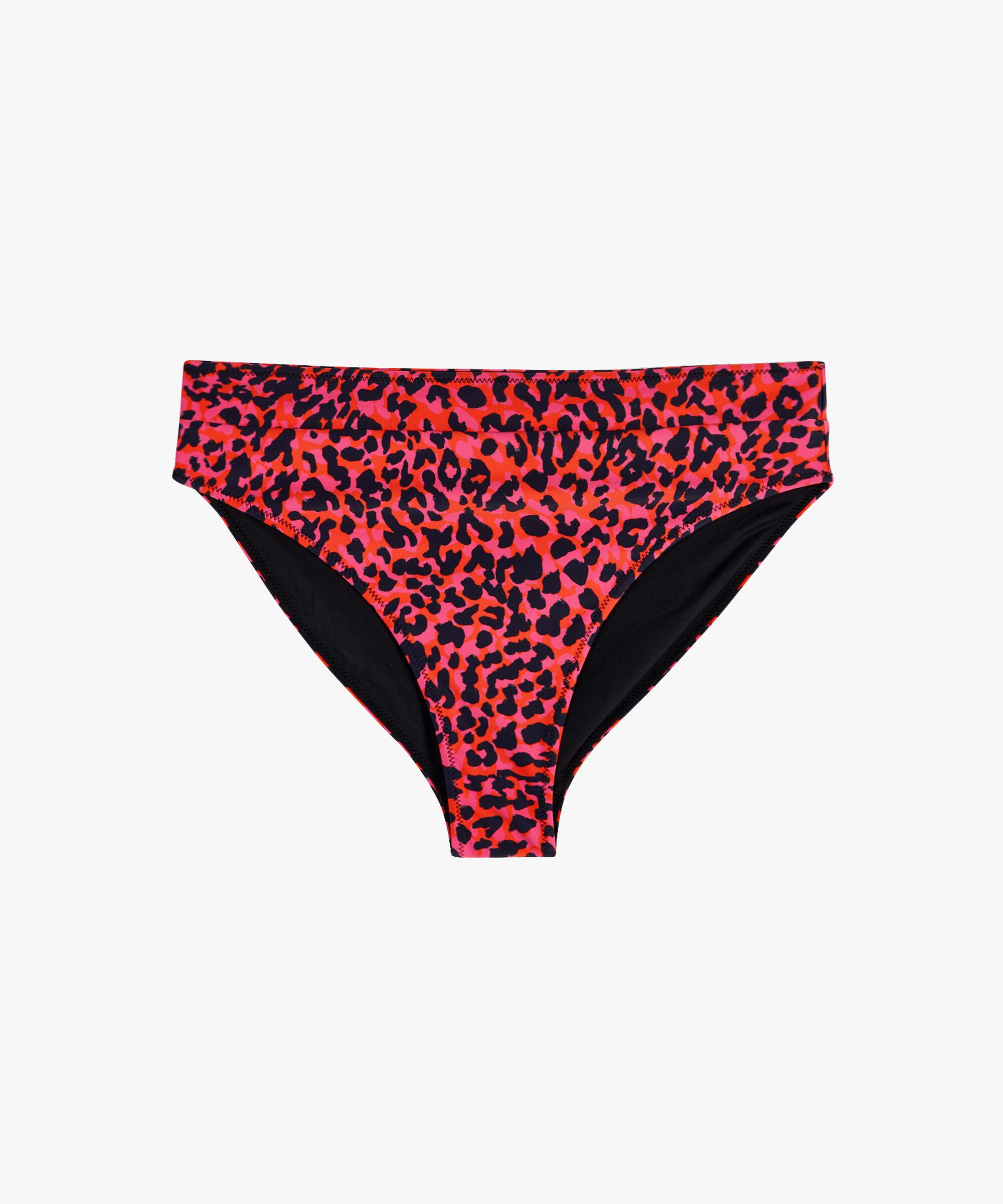 Leopard Bikini Set